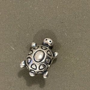 Pandora turtle and giraffe